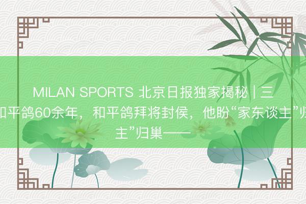 MILAN SPORTS 北京日报独家揭秘 | 三代养育和平鸽60余年，和平鸽拜将封侯，他盼“家东谈主”归巢——