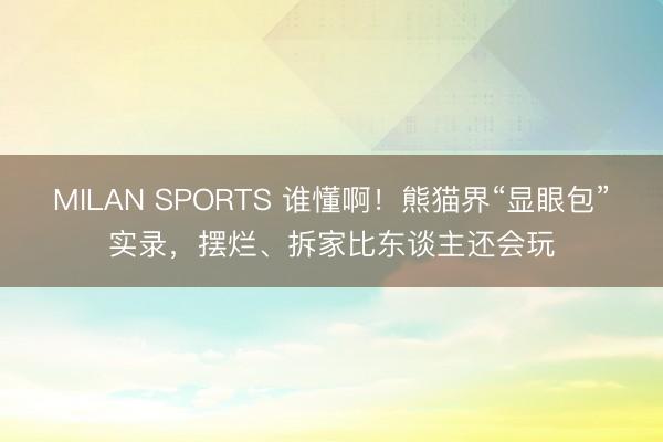 MILAN SPORTS 谁懂啊！熊猫界“显眼包”实录，摆烂、拆家比东谈主还会玩