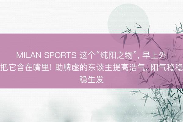 MILAN SPORTS 这个“纯阳之物”, 早上外出前把它含在嘴里! 助脾虚的东谈主提高浩气, 阳气稳稳生发