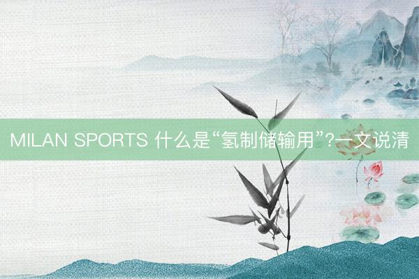 MILAN SPORTS 什么是“氢制储输用”?一文说清