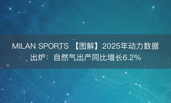 MILAN SPORTS 【图解】2025年动力数据出炉:自然气出产同比增长6.2%