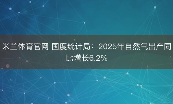 米兰体育官网 国度统计局:2025年自然气出产同比增长6.2%