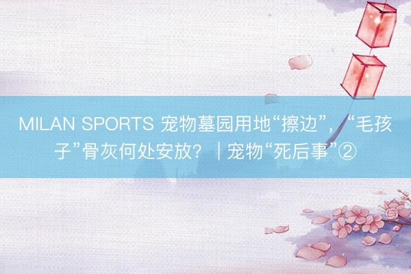 MILAN SPORTS 宠物墓园用地“擦边”，“毛孩子”骨灰何处安放？ | 宠物“死后事”②