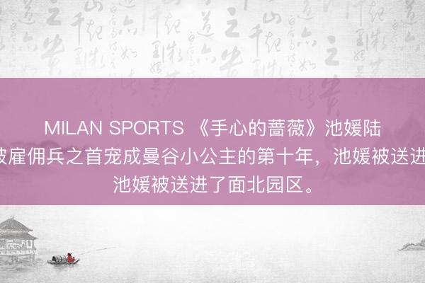 MILAN SPORTS 《手心的蔷薇》池媛陆邺城演义：被雇佣兵之首宠成曼谷小公主的第十年，池媛被送进了面北园区。