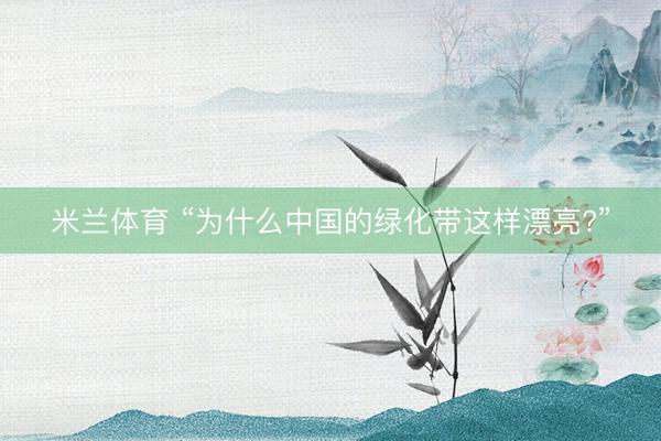 米兰体育 “为什么中国的绿化带这样漂亮?”