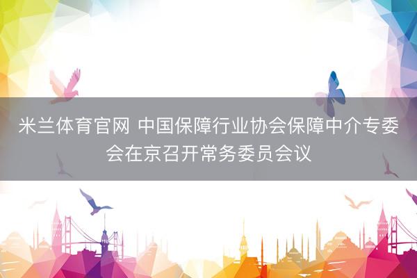 米兰体育官网 中国保障行业协会保障中介专委会在京召开常务委员会议